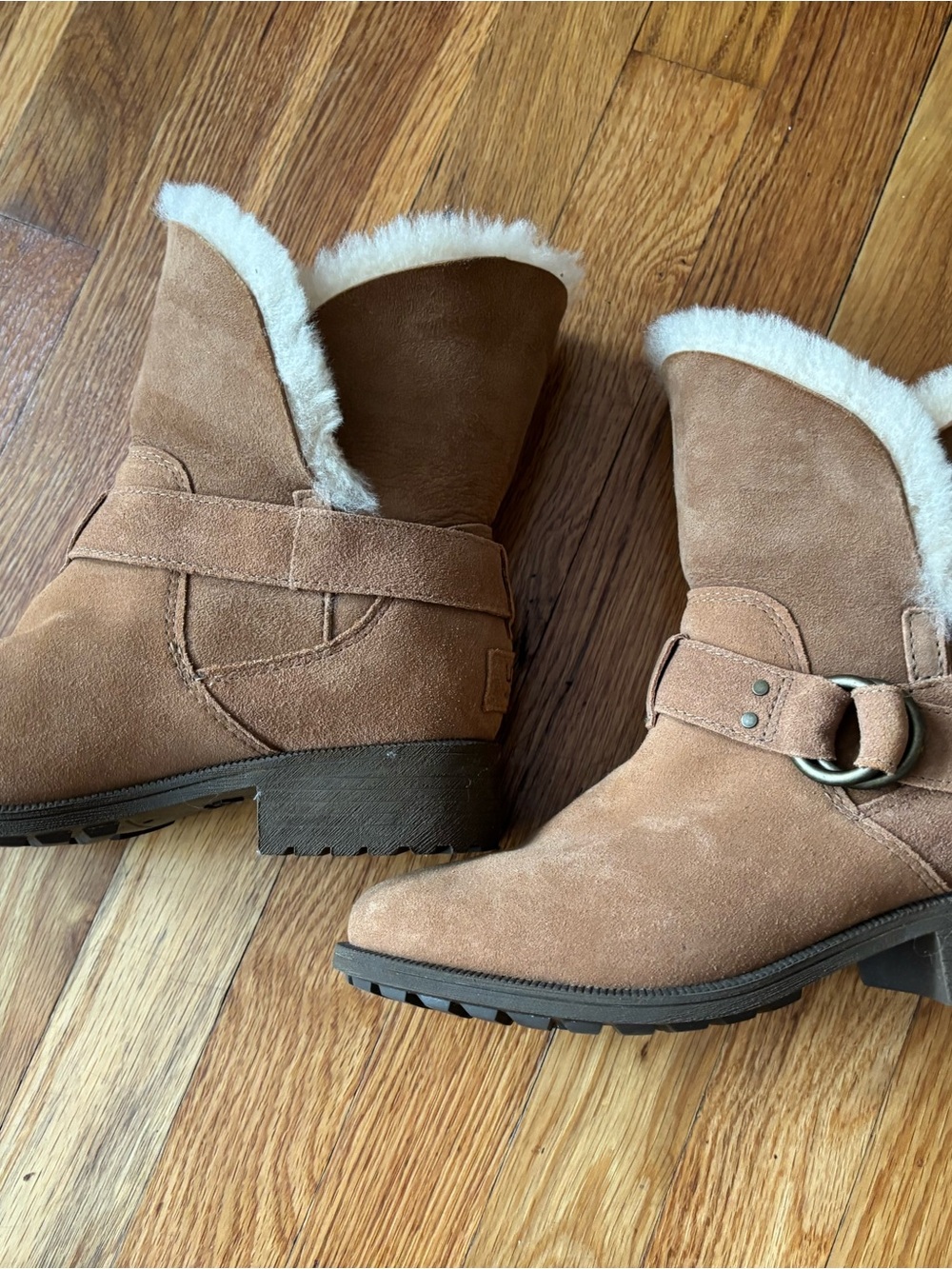 UGG NWOB Chestnut Bodie Boots